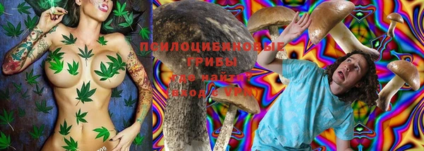 прущие крисы Надым