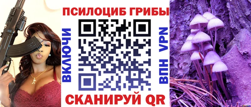 цена   даркнет официальный сайт  Галлюциногенные грибы Psilocybine cubensis  Октябрьск 